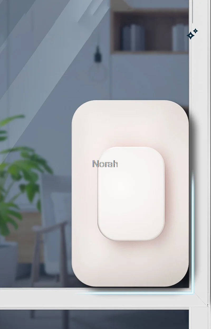 Magnetic Window Double-Sided Brush